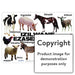 Izilwane Zasepulazane (Farm Animals) Wall Charts And Posters