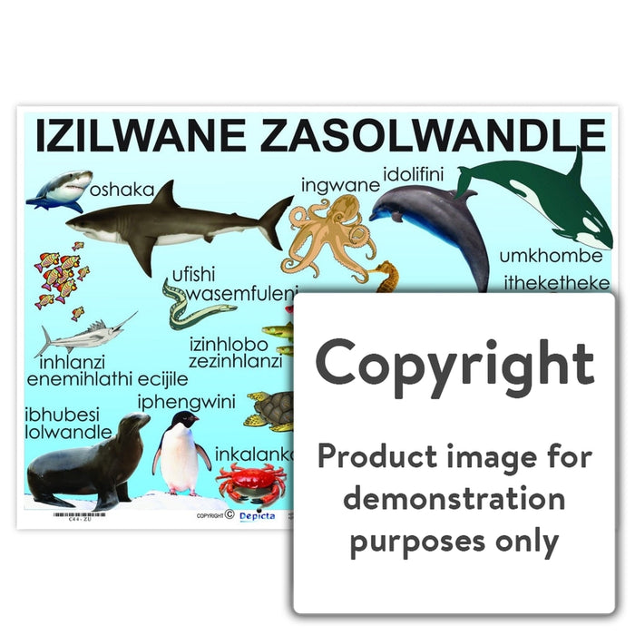 Izilwane Zasolwandle ( Sea Creatures ) Wall Charts And Posters