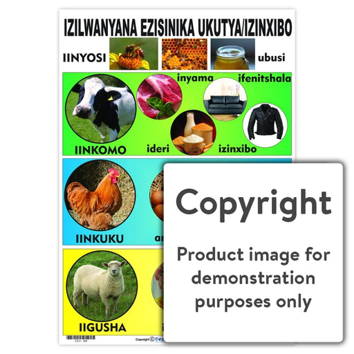 Izilwanyana Ezisinika Ukutya/izinxibo ( Animals That Provide Food / Clothes ) Wall Charts And