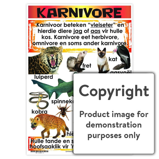 Karnivore Wall Charts And Posters