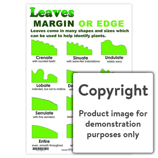 Leaves: Margin Or Edge Wall Charts And Posters