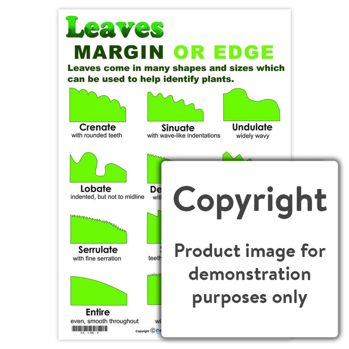Leaves: Margin Or Edge Wall Charts And Posters