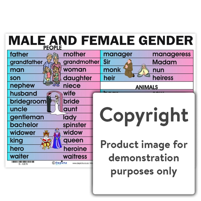Male And Female Gender Wall Charts Posters