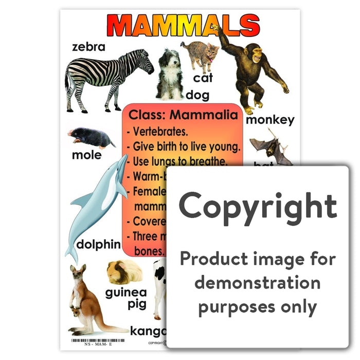 Mammals Wall Charts And Posters