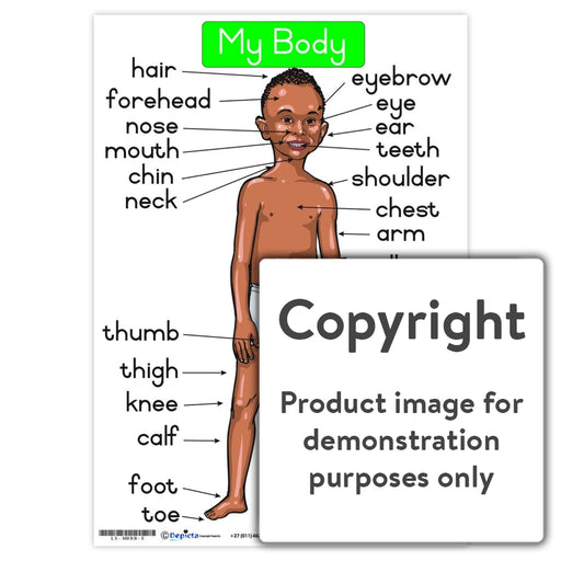 My Body - Black Boy Wall Charts And Posters
