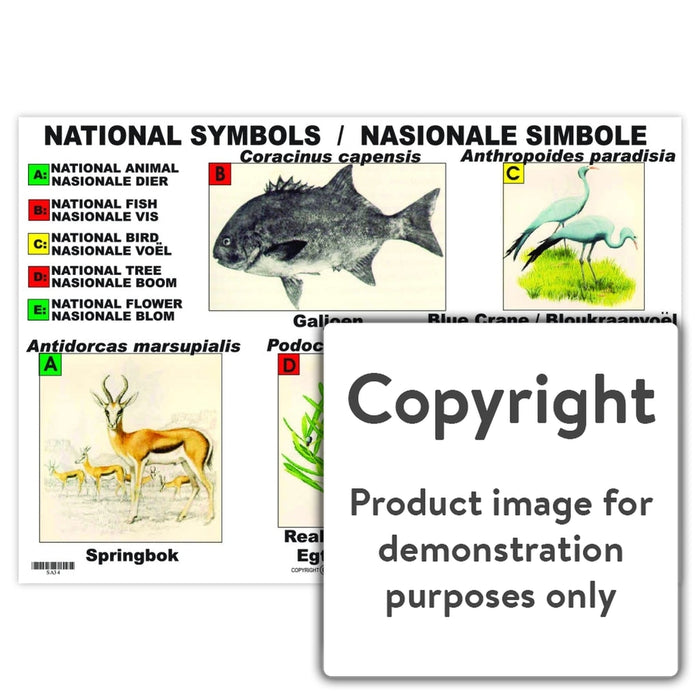 National Symbols / Nasionale Simbole Wall Charts And Posters
