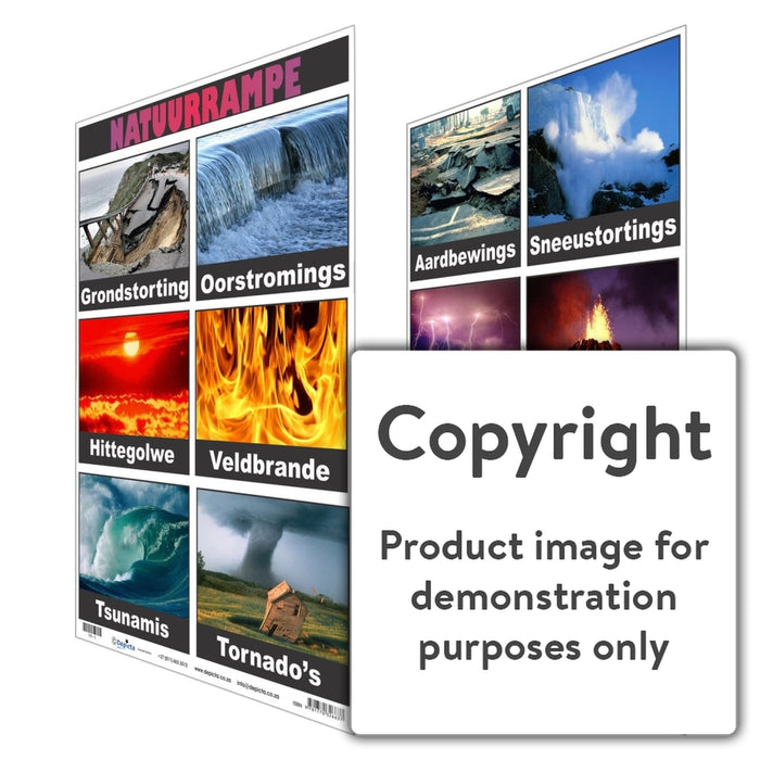Natuurrampe Wall Charts And Posters