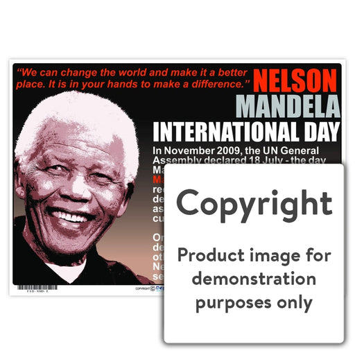 Nelson Mandela International Day Wall Charts And Posters