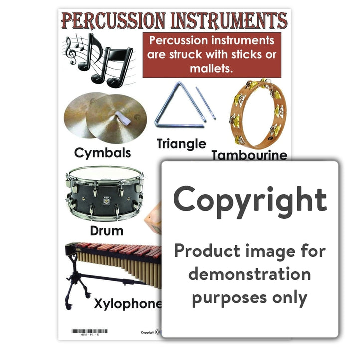 Percussion Instruments Wall Charts And Posters