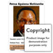 Petrus Kgalema Mothlanthe - Afrikaans Wall Charts And Posters
