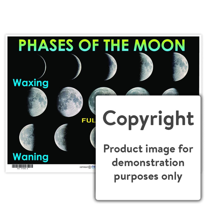 Phases Of The Moon Wall Charts And Posters