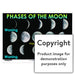 Phases Of The Moon Wall Charts And Posters