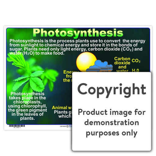 Photosynthesis Wall Charts And Posters