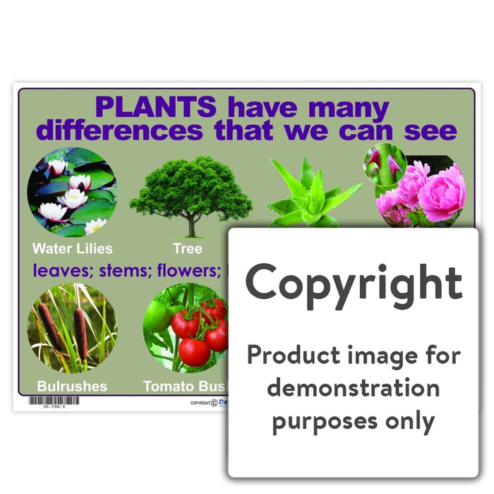 Plants Have Many Differences That We Can See Wall Charts And Posters