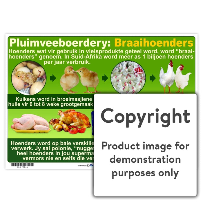 Pluimveeboerdery: Braaihoenders Wall Charts And Posters