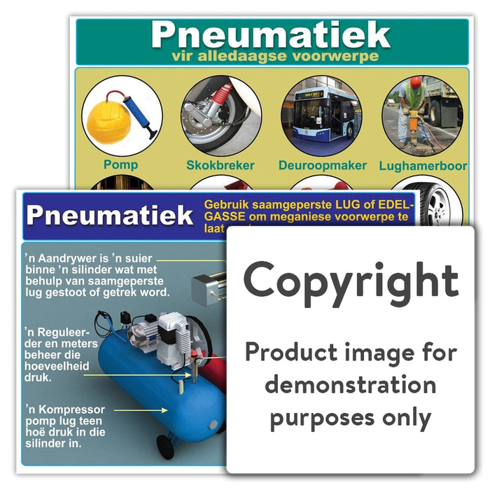Pneumatiek Wall Charts And Posters