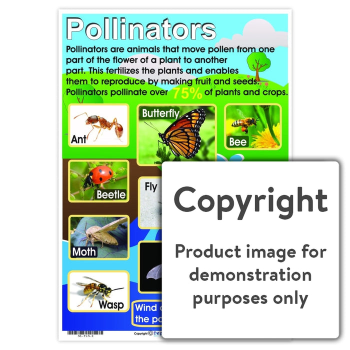 Pollinators Wall Charts And Posters
