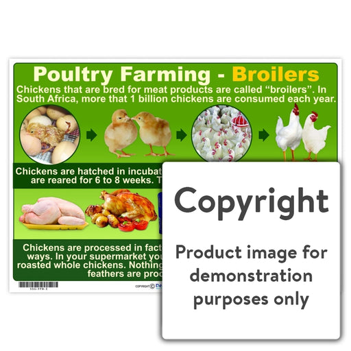 Poultry Farming - Broilers Wall Charts And Posters