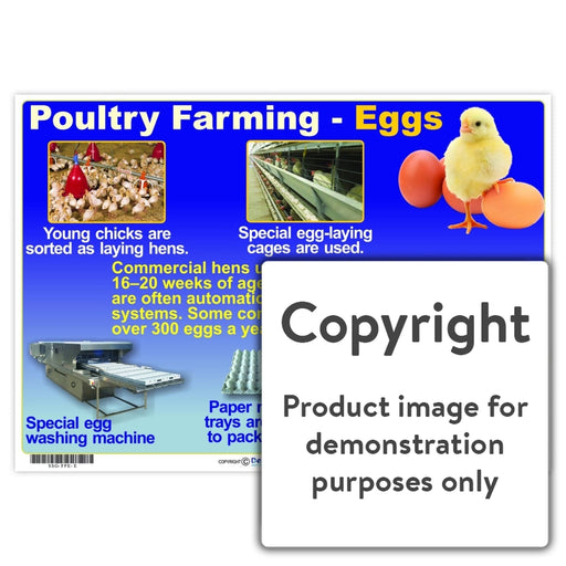 Poultry Farming - Eggs Wall Charts And Posters