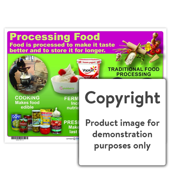Processing Food Wall Charts And Posters