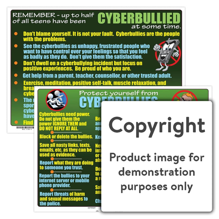 Protect Yourself From Cyberbullies Wall Charts And Posters