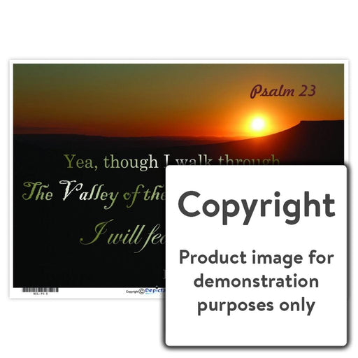 Psalm 23 Wall Charts And Posters