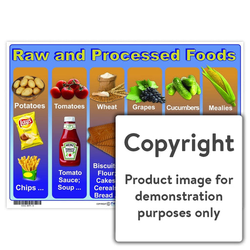 Raw And Processed Food Wall Charts Posters