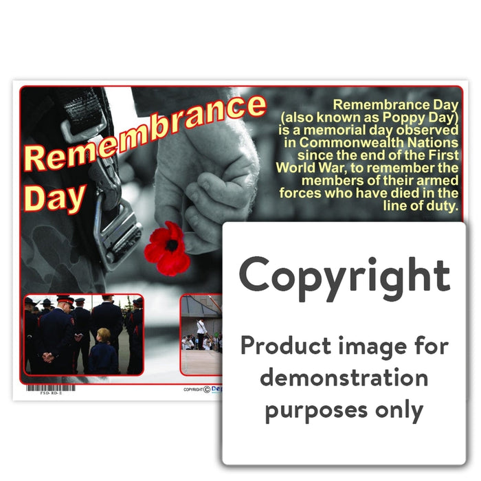 Remembrance Day Wall Charts And Posters