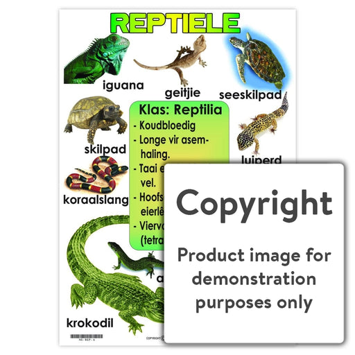 Reptiele Wall Charts And Posters