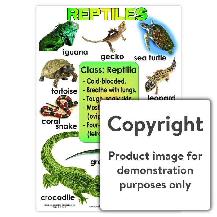 Reptiles Wall Charts And Posters