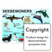 Seebewoners Wall Charts And Posters