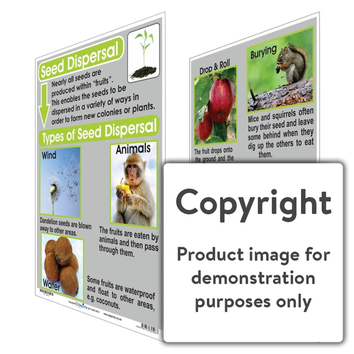 Seed Dispersal Wall Charts And Posters