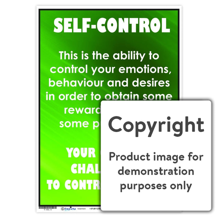 Self-Control Wall Charts And Posters