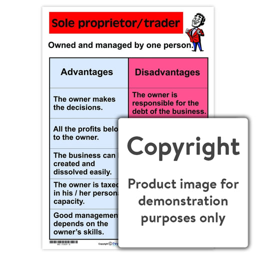 Sole Proprietor/trader Wall Charts And Posters