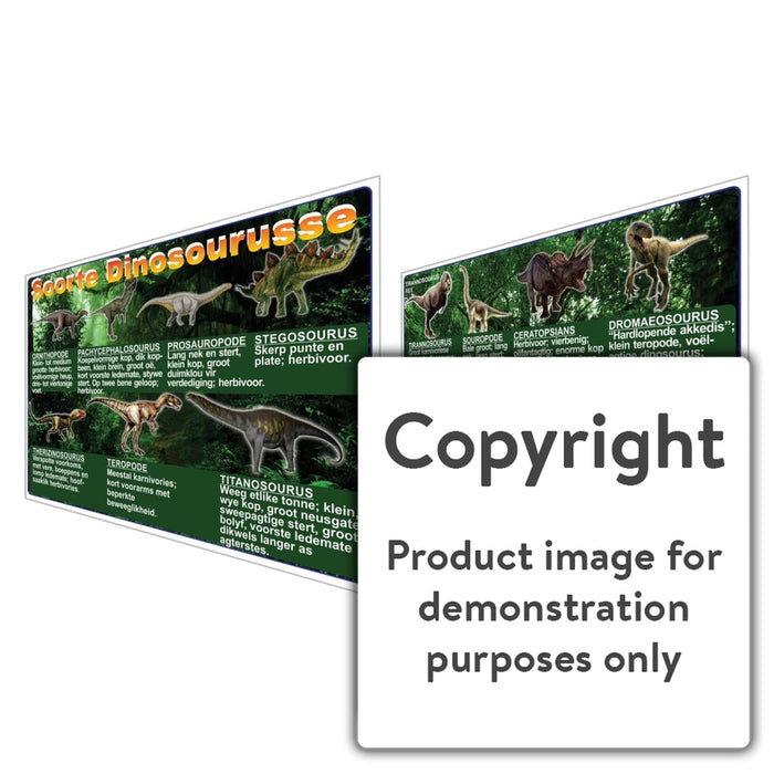 Soorte Dinosourusse Wall Charts And Posters
