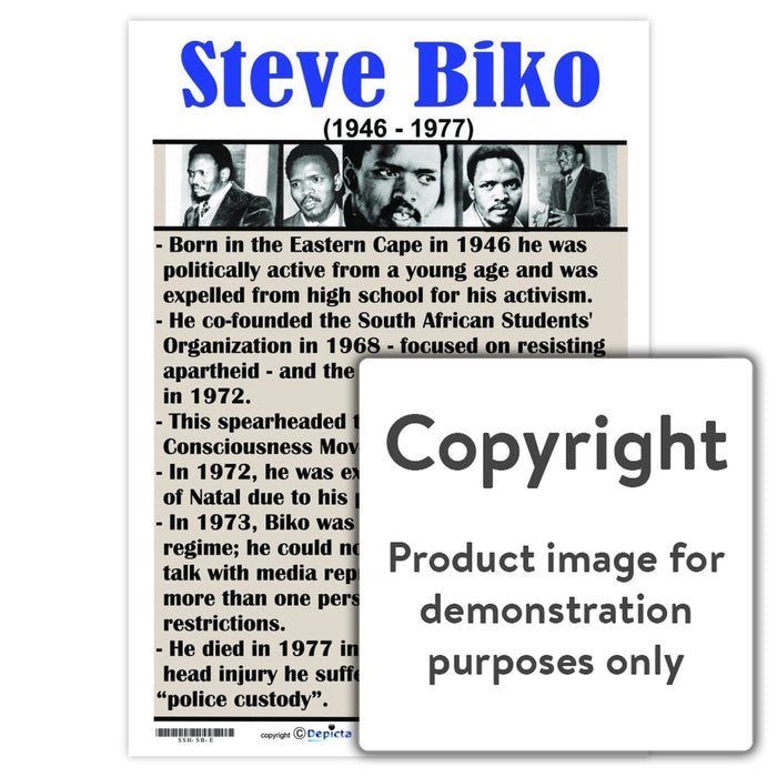 Steve Biko - English Wall Charts And Posters