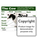 The Cow Wall Charts And Posters