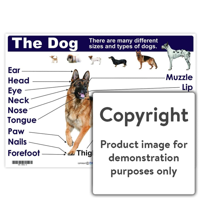 The Dog Wall Charts And Posters