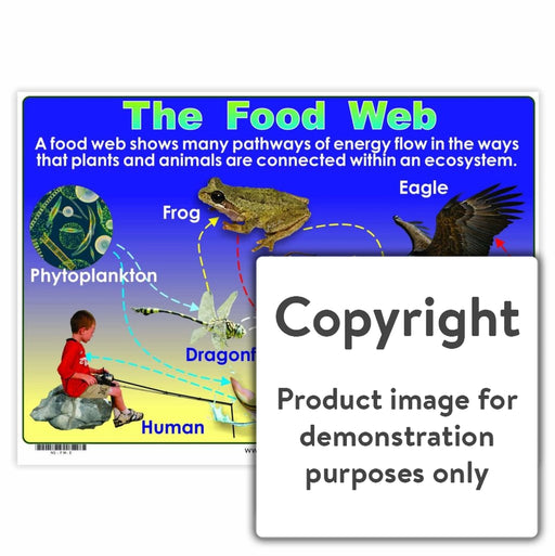 The Food Web Wall Charts And Posters