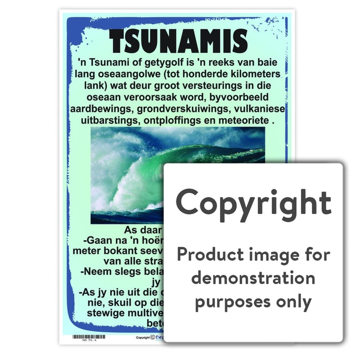 Tsunamis Wall Charts And Posters