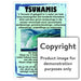 Tsunamis Wall Charts And Posters