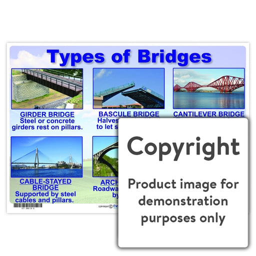 Types Of Bridges Wall Charts And Posters