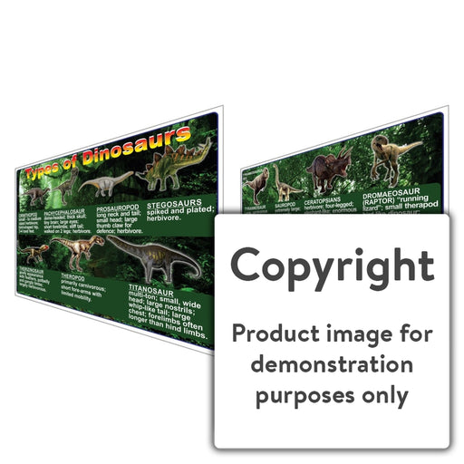 Types Of Dinosaurs Wall Charts And Posters