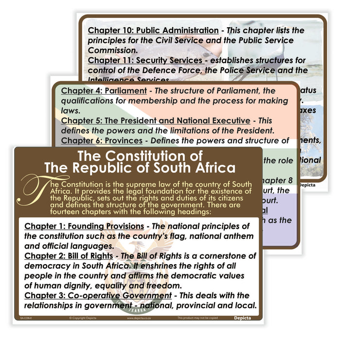 The Constitution of The Republic of South Africa — Depicta