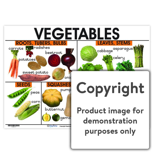 Vegetables Wall Charts And Posters