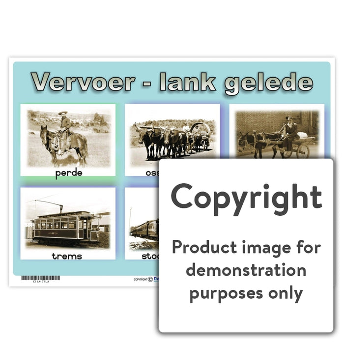 Vervoer - Lank Gelede Wall Charts And Posters