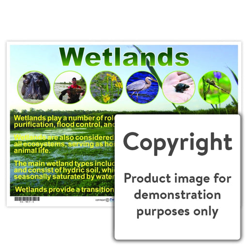 Wetlands Wall Charts And Posters