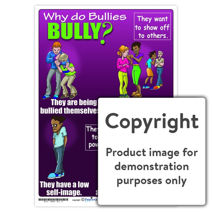 Why Do Bullies Bully (High School) Wall Charts And Posters