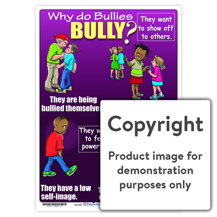 Why Do Bullies Bully (Primary School) Wall Charts And Posters